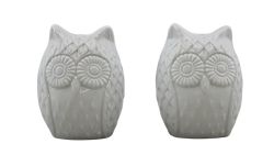 Wholesale Retro Style Owl Salt & Pepper Shaker Set Ceramic