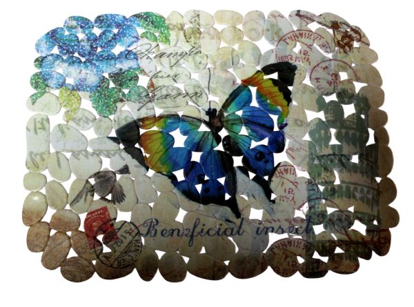 Wholesale Printed Pvc Sink Mat 15.7" X 11.8" Butterfly